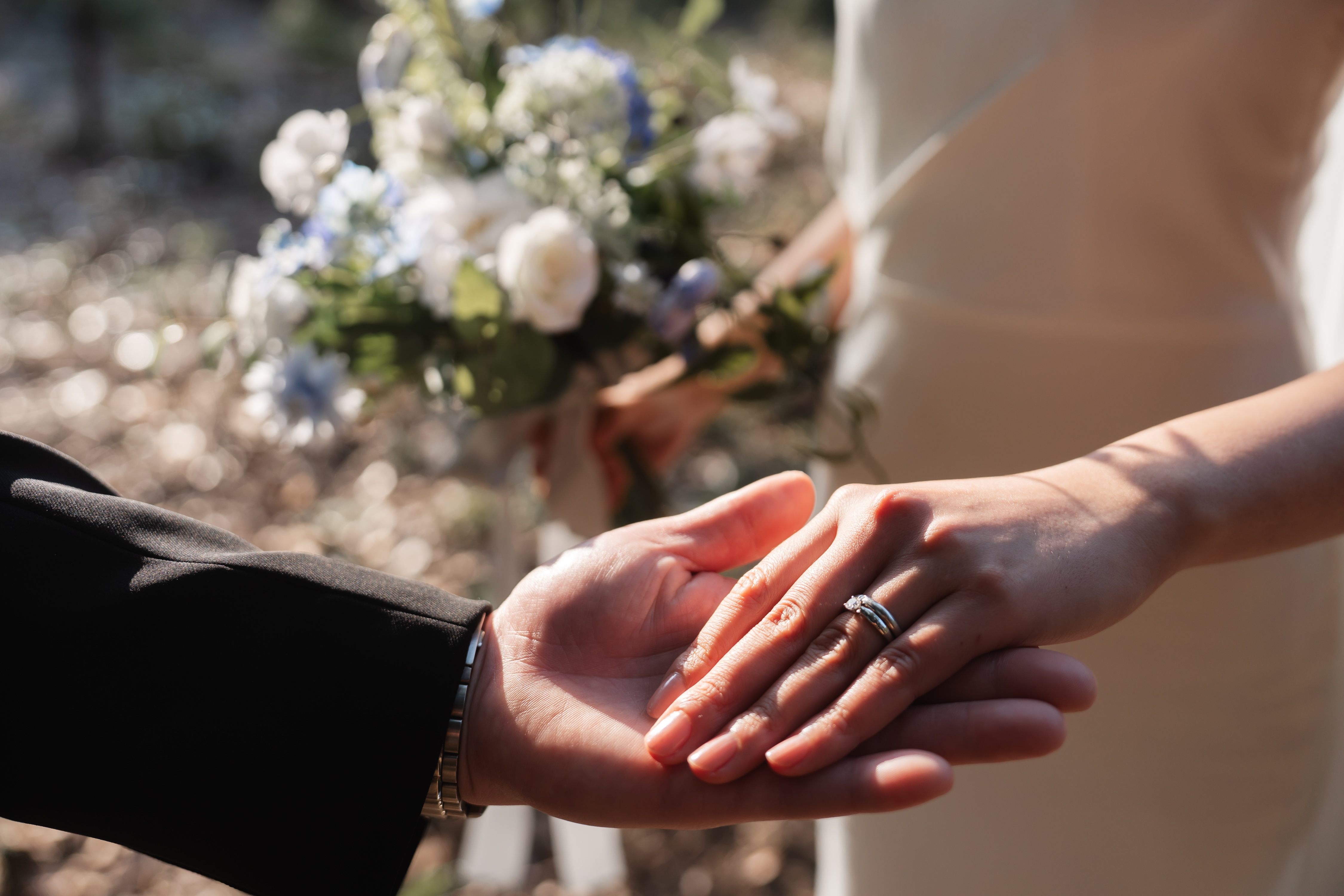 ギャラリー動画2